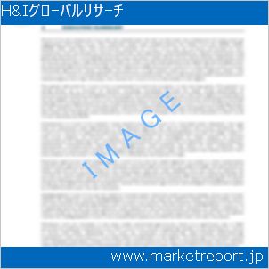 市場と産業調査レポートのイメージ